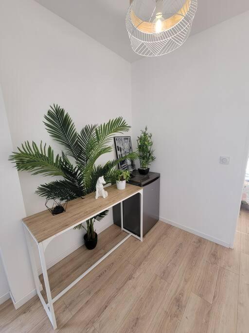Superbe T2 Avec Parking Apartment Albi Ngoại thất bức ảnh